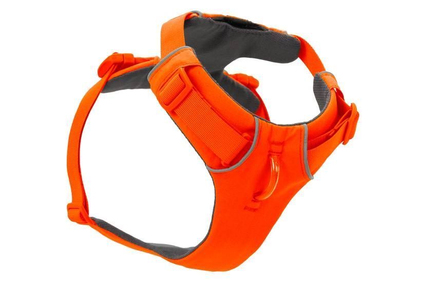 Повсякденна шлейка для собак Ruffwear Front Range&reg; XS 43-56 см Помаранчевий tb-41868 фото