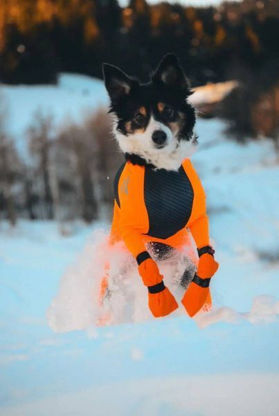 Високі черевики для собак Contact bootie high Non-stop dogwear Помаранчевий 2XS 4 Шт. tb-40345 фото