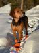 Високі черевики для собак Contact bootie high Non-stop dogwear Помаранчевий 2XS 4 Шт. tb-40345 фото 2