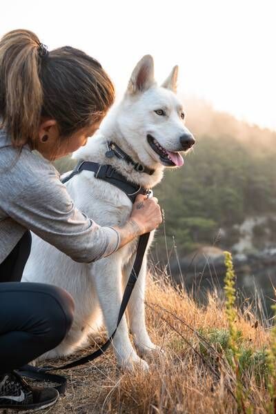 Повседневный ошейник для собак Ruffwear Front Range&trade; 28-36 см Серый tb-30653 фото