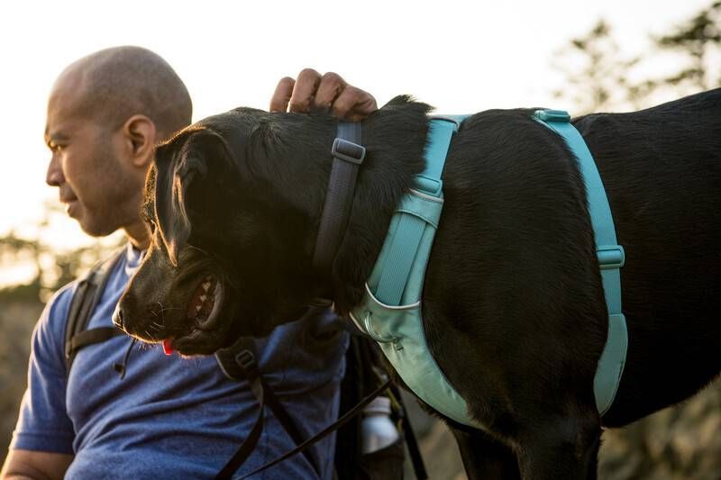 Повседневный ошейник для собак Ruffwear Front Range&trade; 28-36 см Серый tb-30653 фото
