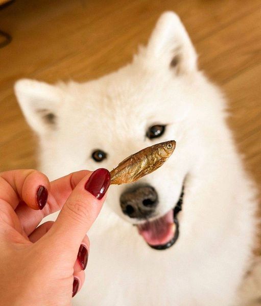 Натуральні сушені ласощі для собак Cooka's Cookies Gone Fishing 100% риба 90 г tb-40213 фото