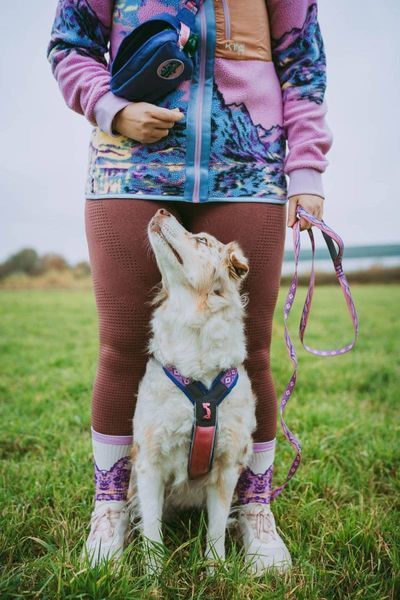 Повідець для собак Trail quest leash RP signature edition Non-stop dogwear Фіолетовий/Рожевий 15 мм/2 м tb-41431 фото