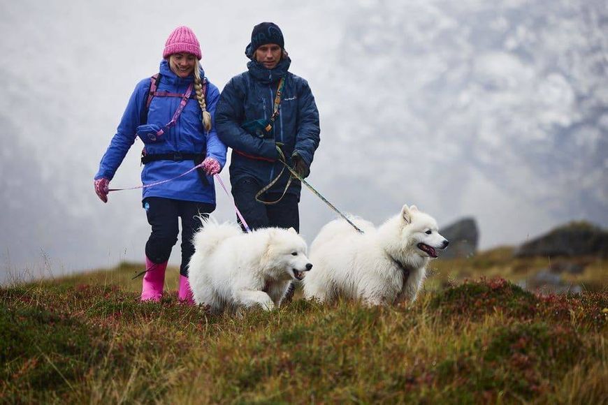 Повідець для собак Trail quest leash RP signature edition Non-stop dogwear Фіолетовий/Рожевий 15 мм/2 м tb-41431 фото
